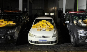 IA contra o crime: tecnologia fortalece combate ao tráfico e resulta em apreensão de 30 kg de drogas